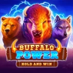 buffalo-power-img